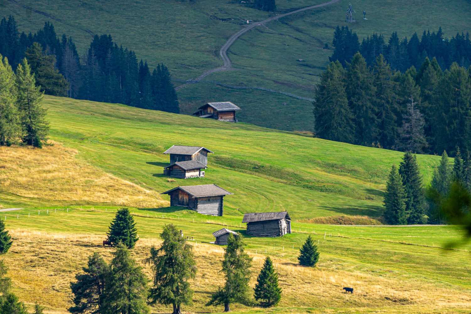 能源管理系統,城市綠色發展,節能減排 能源管理系統,城市綠色發展,節能減排