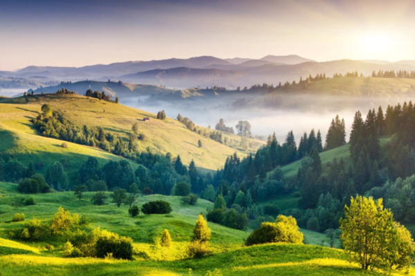 達(dá)成“雙碳”目標(biāo)不只是“減碳”!(圖1) 達(dá)成“雙碳”目標(biāo)不只是“減碳”!(圖1)